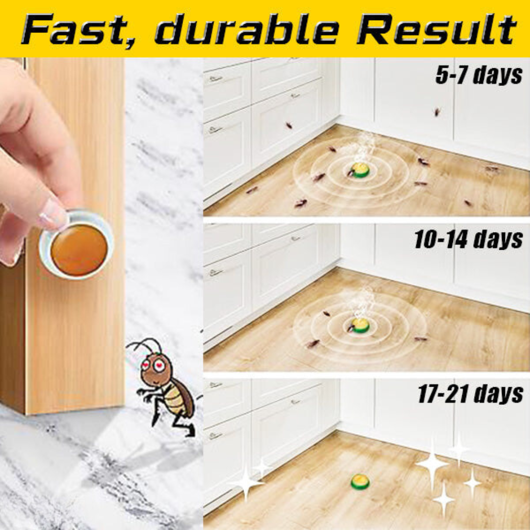 תחנת פיתוי לתיקנים